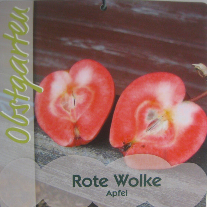 Herbstapfel 'Rote Wolke' <br> Malus 'Rote Wolke' - Pflanzenshop-Emsland